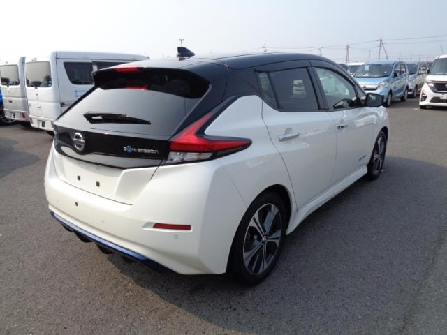 NISSAN LEAF 2020