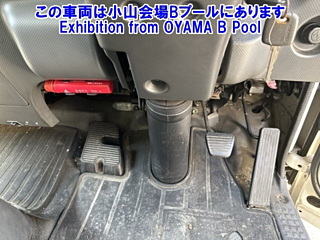 ISUZU ELF 2019