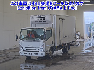 ISUZU ELF 2019