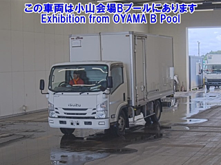 ISUZU ELF 2019