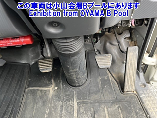 ISUZU ELF 2018