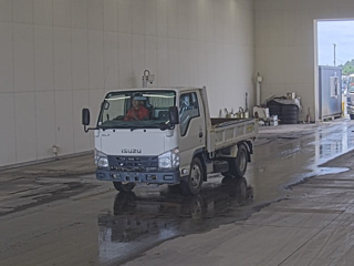 ISUZU ELF 2019