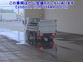 ISUZU ELF 2019