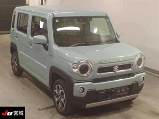 SUZUKI HUSTLER 2024
