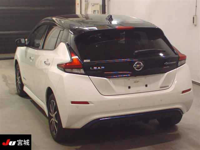 NISSAN LEAF 2020