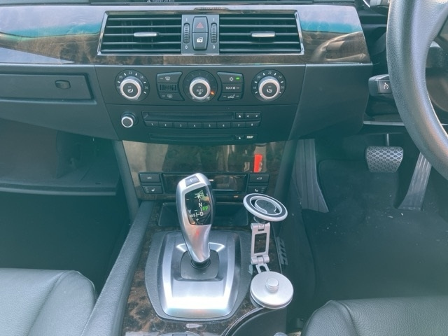 BMW 5 SERIES 2009