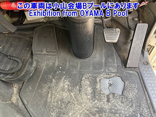 ISUZU ELF 2019