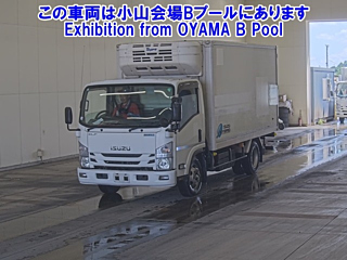 ISUZU ELF 2018