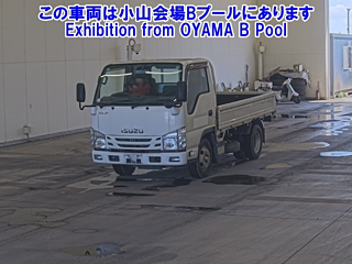 ISUZU ELF 2020