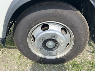ISUZU ELF 2020