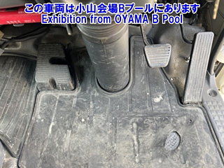 ISUZU ELF 2020