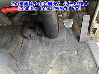 ISUZU ELF 2020