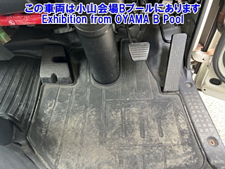 ISUZU ELF 2021