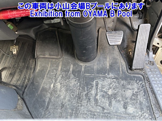 ISUZU ELF 2020