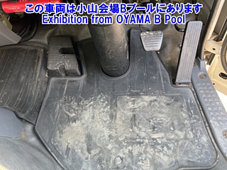 ISUZU ELF 2019
