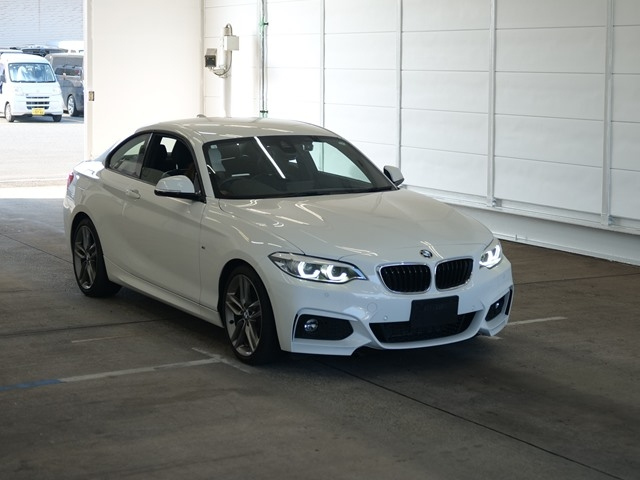 BMW 2 SERIES 2019