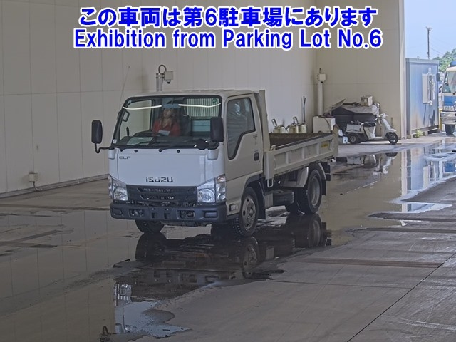 ISUZU ELF 2019