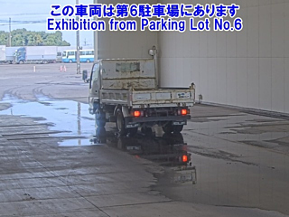 ISUZU ELF 2019