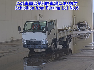 ISUZU ELF 2019