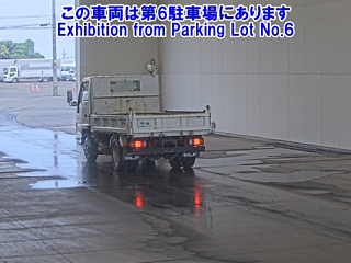 ISUZU ELF 2019