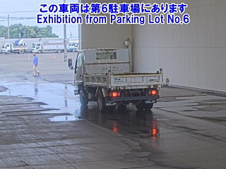 ISUZU ELF 2019
