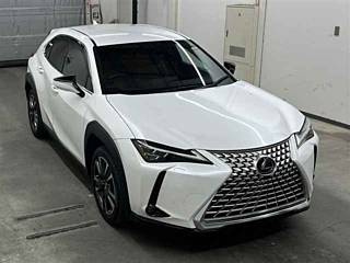 LEXUS UX 2019