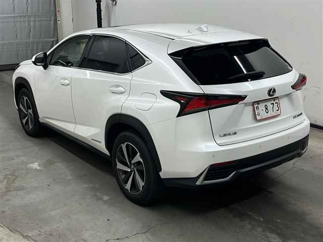 LEXUS NX 2019
