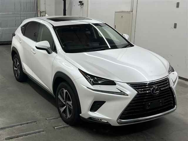 LEXUS NX 2019
