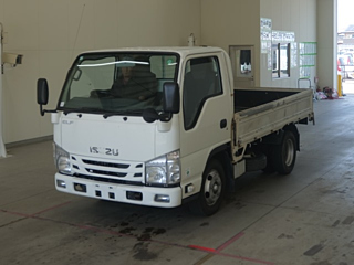 ISUZU ELF 2019