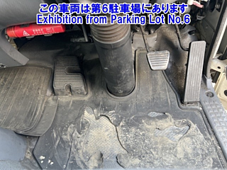 ISUZU ELF 2019