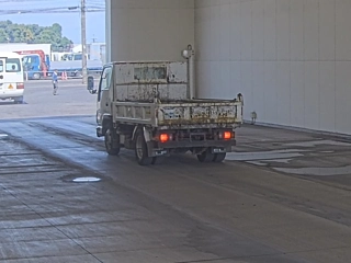 ISUZU ELF 2019