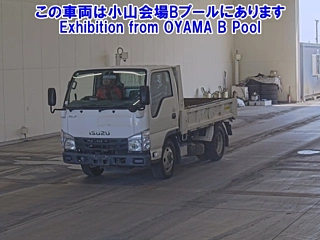 ISUZU ELF 2019