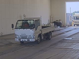 ISUZU ELF 2019