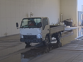 ISUZU ELF 2018