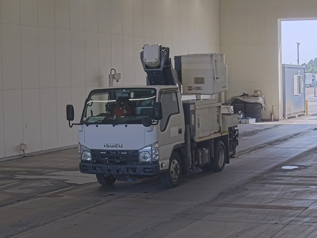 ISUZU ELF 2019