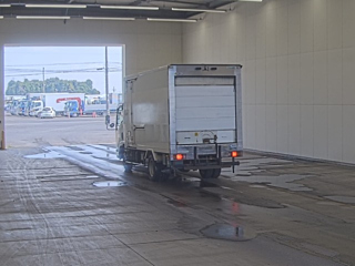 ISUZU ELF 2017