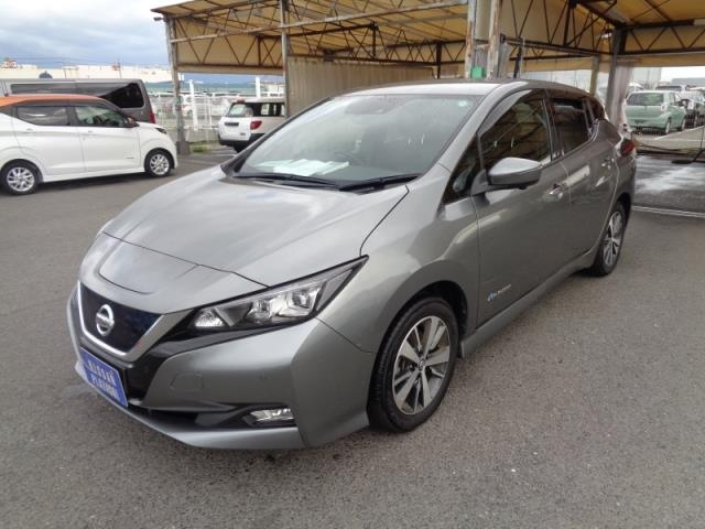NISSAN LEAF 2019