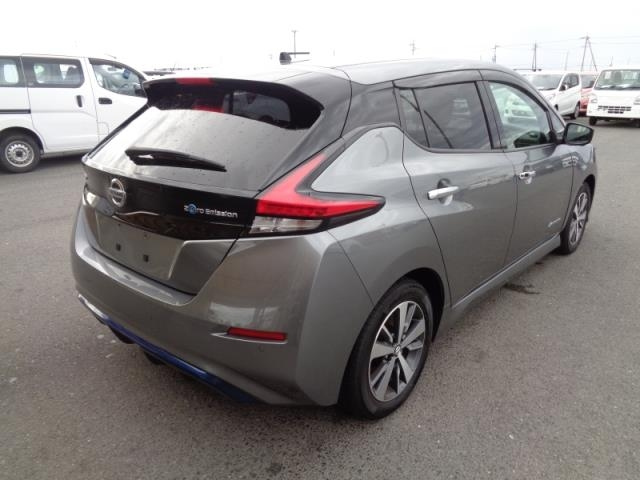 NISSAN LEAF 2019