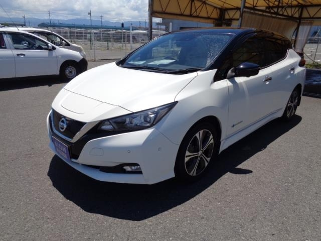 NISSAN LEAF 2018