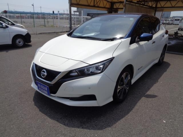 NISSAN LEAF 2020