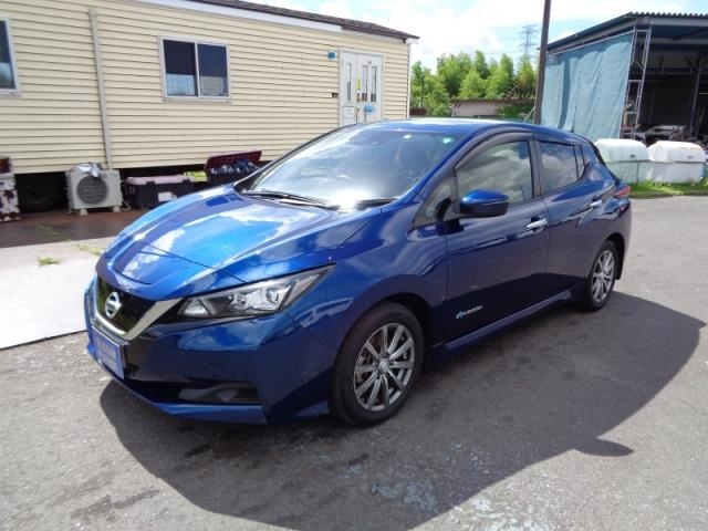 NISSAN LEAF 2020
