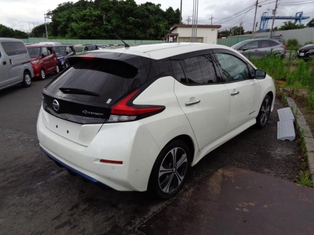 NISSAN LEAF 2019
