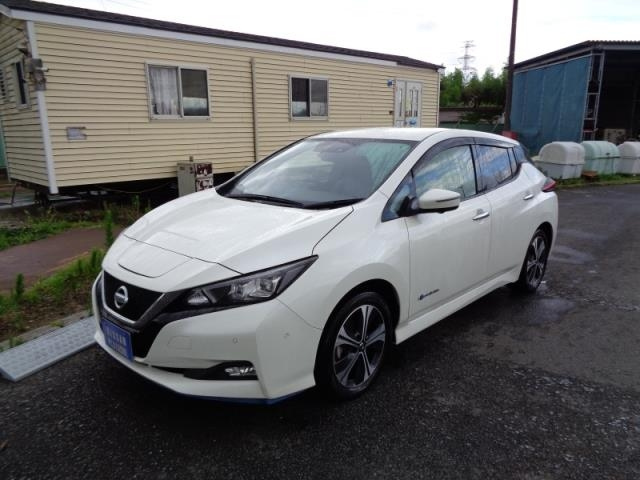 NISSAN LEAF 2019