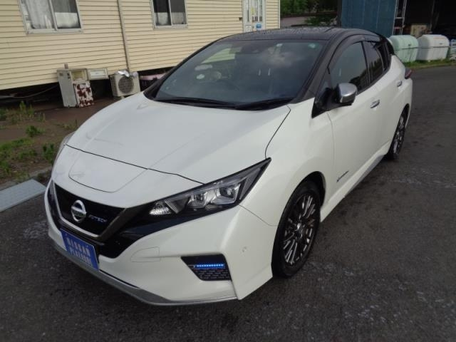 NISSAN LEAF 2020