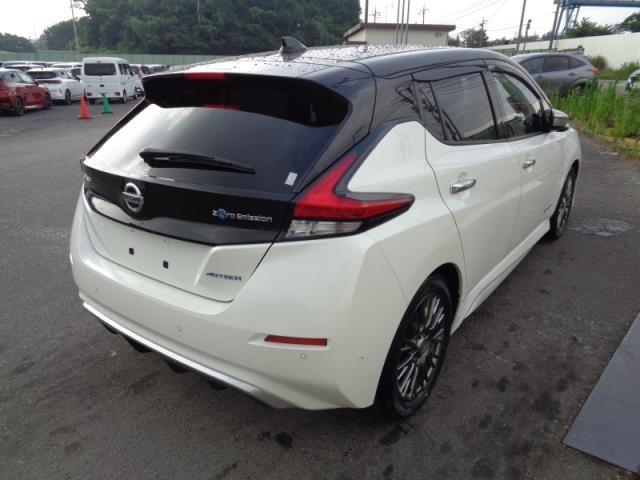 NISSAN LEAF 2020