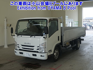 ISUZU ELF 2019