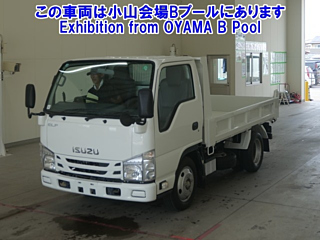ISUZU ELF 2019
