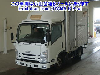 ISUZU ELF 2019