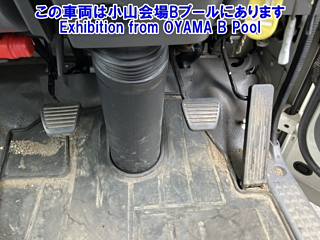 ISUZU ELF 2019