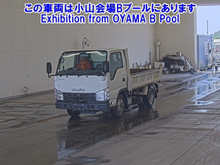 ISUZU ELF 2019